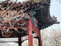 -北京凤凰岭