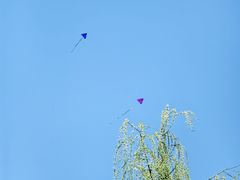 -元大都城垣遗址公园