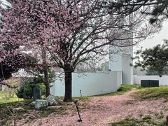 -石家庄市植物园