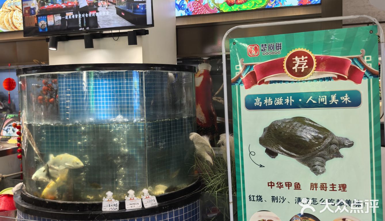 楚尚鲜•张之洞店解锁海鲜×融合菜新吃法🦞✨