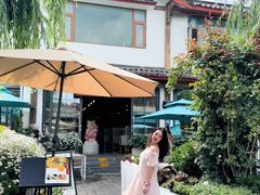 -春天里餐厅·云南创意菜特色美食(束河店)