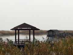 -太湖湖滨国家湿地公园-停车场