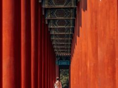 -北京市劳动人民文化宫(太庙)