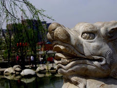 -西安乐游原