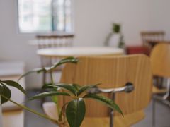 -素咫咖啡CLIFEROSE(新安店)