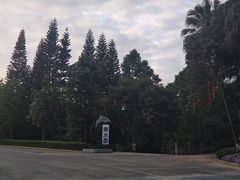 -广州市流溪河国家森林公园