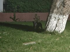 -四川大学(望江校区)