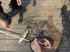 -酷鱼垂钓CLUB(朝阳区博大路店 )