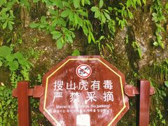 -塔云山