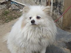 -台山第一家兴华黄鳝饭·黄鳝婆(彭沙坑总店)