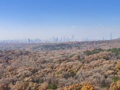 -灵谷景区