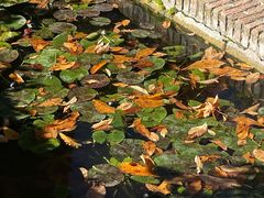 -阿尔罕布拉宫