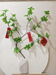 -奥丽维娅美容养生会所