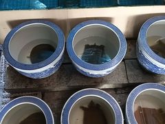 -雅和生态渔庄·宜城锅巴饭(龙灵山公园店)