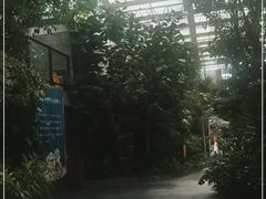 -滕头生态酒店(奉化店)