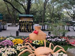 -上海共青森林公园