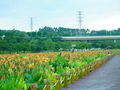 -那考河湿地公园