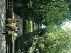 android_upload_pic-忠山公园