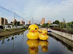 -菊园百果园