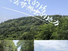 -平湖九龙山旅游度假区
