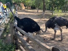 -大连森林动物园