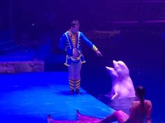 -芜湖新华联大白鲸海洋公园