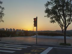 -重庆鲁能巴蜀中学食堂