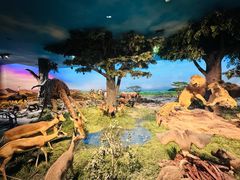 -国家自然博物馆