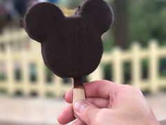 -迪士尼火鸡腿