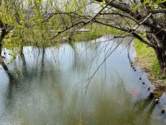 -前小桔亲子创意农场·草莓采摘·露营烧烤