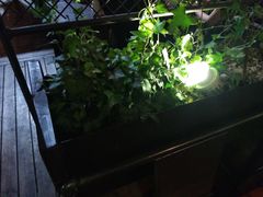 -胡桃里音乐酒馆(白云五号T5 MALL店)