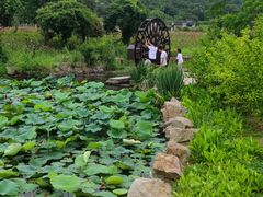 -龙寺生态园