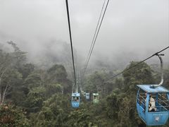 -野象谷景区