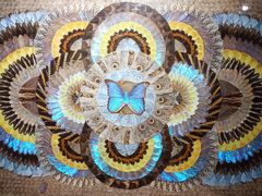 -上海昆虫博物馆