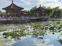 -长春市南湖公园