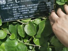 -晶宝温泉农庄