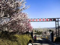 -北京鹫峰国家森林公园