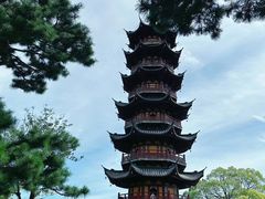 -龙华素斋(龙华路店)