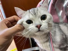 -宠颐生中康贝怡动物医院
