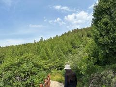 -佛慧山