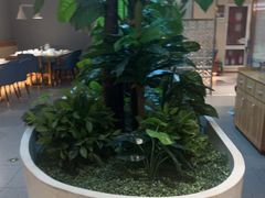 -悦海·家宴·冰花皮皮虾大锅贴(宝龙店)