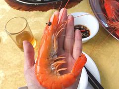 -蚝专家(北滘店)