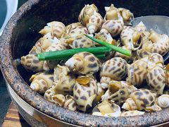 盐焗花螺-猪肉婆私房菜(容桂总店)