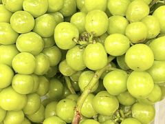 -麦德龙(嘉定店)