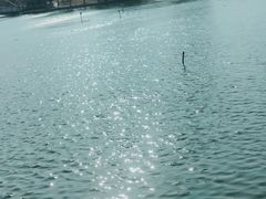 -同济大学(嘉定校区)