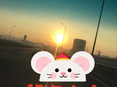 -白鹤大冷面
