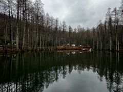 -波尔登森林公园