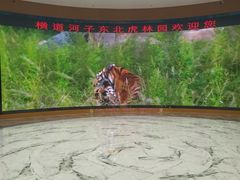 -横道河子东北虎林园