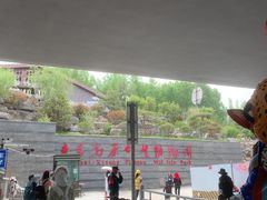 -青藏高原野生动物园