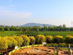 -北京张裕爱斐堡酒庄